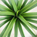 28" Faux Botanical Outdoor Green Dracaena