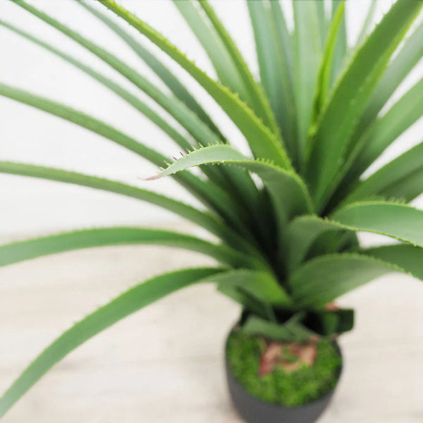 28" Faux Botanical Outdoor Green Dracaena