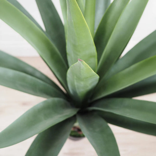 40" Faux Botanical Outdoor Green Giant Agave