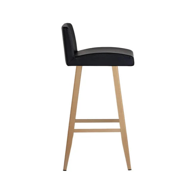 Dani Leather Upholstered Counter Stool