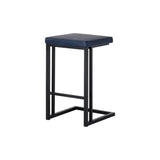 Boone Leather Upholstered Counter Stool (Set Of 2)