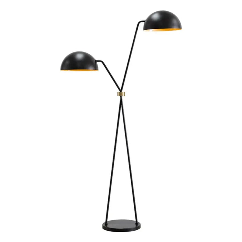 Faven Iron Based Black Floor Lamp