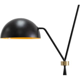 Faven Iron Based Black Floor Lamp