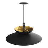 Timea Pendant Light Sleek Black And Brass Design