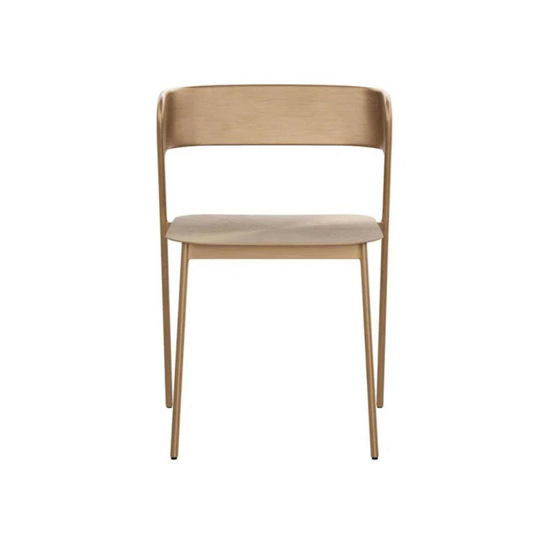 Keanu Powder Coated Iron Armless Dining Chair