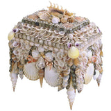 Natural Boardwalk Shell Jewelry Box