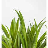 16'' Faux Botanical Outdoor Green Grass-Faux Plants Accessories-Le Present-LOOMLAN