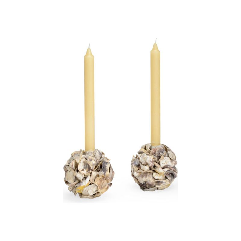 Oyster Shell Made Candleholder (Set Of 2)