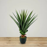 Le Present-28" Faux Botanical Outdoor Green Dracaena-Potted Plants-LOOMLAN