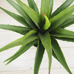 28" Faux Botanical Outdoor Green Agave - LOOMLAN - Le Present - Potted Plants