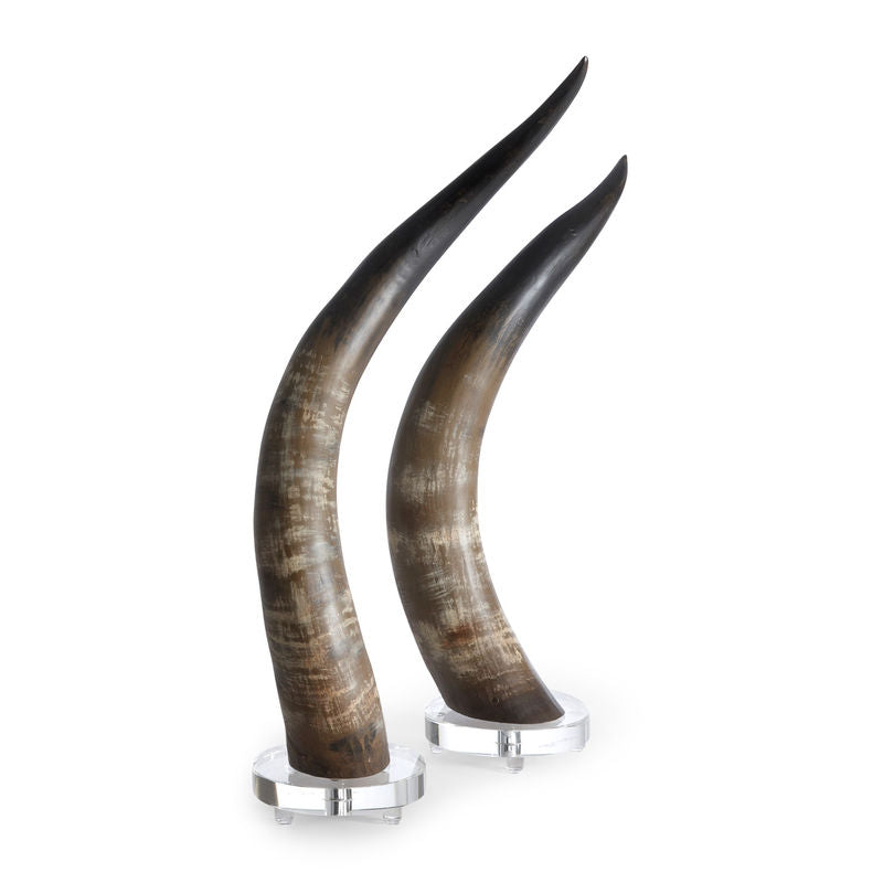 Horns Elegance Sleek Design Sculpture