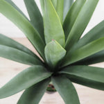 40" Faux Botanical Outdoor Green Giant Agave - LOOMLAN - Le Present - Potted Plants