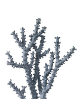 Blue Coral Set of 2