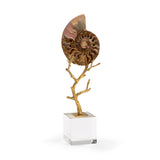 Ammonoidea Brass Stem Sculpture