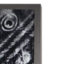 Silver Plumage 72" x 48" Charcoal Frame Luxe Wall Art