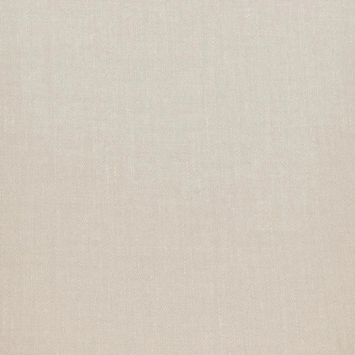 Adage Beige Dining Chair with Steel Frame - LOOMLAN - Zuo Modern - Dining Chairs