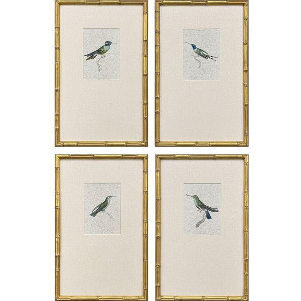 Antique Hummingbirds Framed Wall Art 4PC