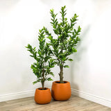 Artificial Botanical Green Indoor Lemon Tree-Artificial Trees-Le Present-LOOMLAN