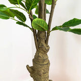 Artificial Botanical Green Indoor Lemon Tree-Artificial Trees-Le Present-LOOMLAN