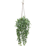 Artificial Indoor Hanging Boxwood Trailing Plant-Faux Plants Accessories-Le Present-LOOMLAN