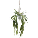 Artificial Indoor Hanging White Pandan-Faux Plants Accessories-Le Present-LOOMLAN