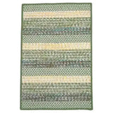 Barrett Stripe Rectangular Outdoor Rugs-Outdoor Rugs-Colonial Mills-Green Lantern-2' x 3'-LOOMLAN