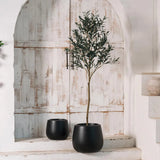 Belly Elegant Designed Fiberglass Planter-Planters-Le Present-LOOMLAN