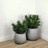 Belly Modern Designed Outdoor Planter-Planters-Le Present-LOOMLAN