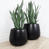 Belly Modern Designed Outdoor Planter-Planters-Le Present-LOOMLAN