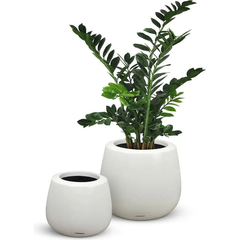 Belly Modern Designed Outdoor Planter-Planters-Le Present-LOOMLAN