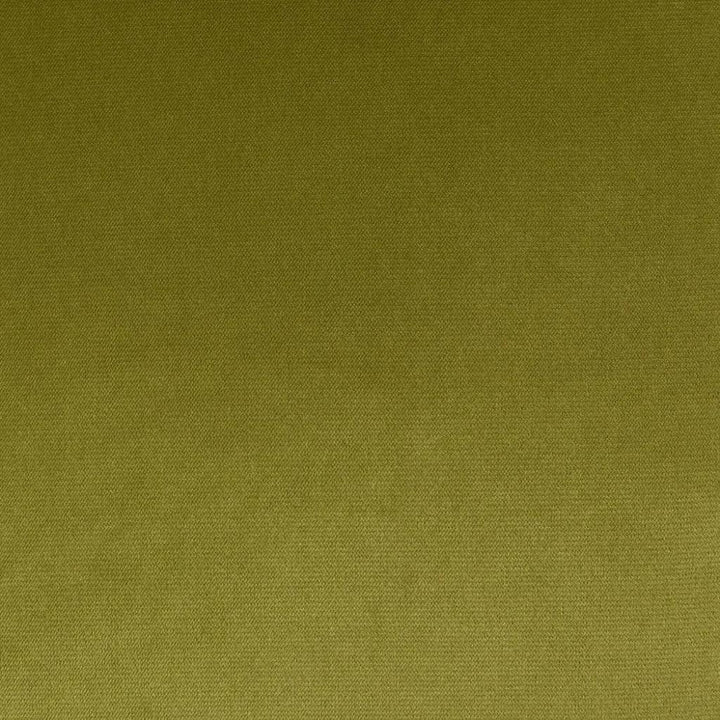 Belvedere Flange Aloe Green Throw Pillow Insert - LOOMLAN - D.V. Kap - Throw Pillows