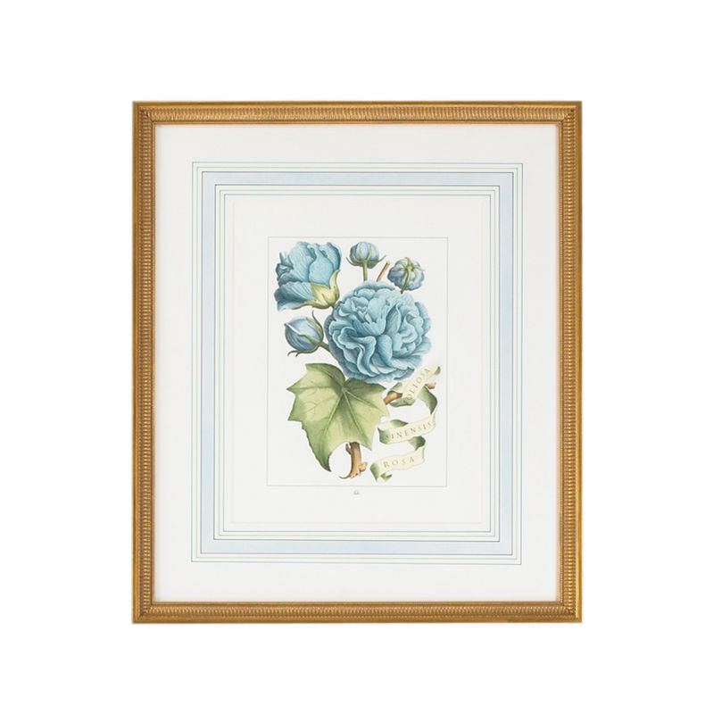 Bl Floral Gold Framed Artwork-Artwork-Chelsea House-Floral B-LOOMLAN