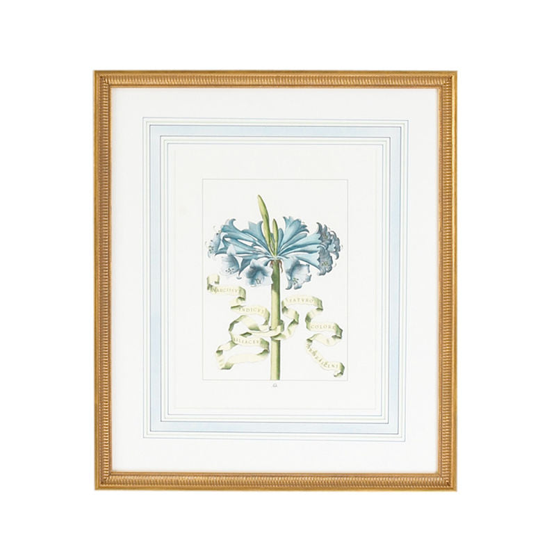 Bl Floral Gold Framed Artwork-Artwork-Chelsea House-Floral D-LOOMLAN