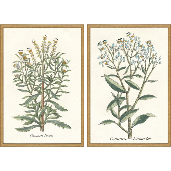 Botanical Plants Wood Framed Wall Art 2PC
