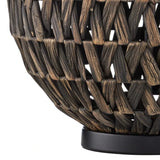 Casimer Black Water Hyacinth Table Lamp-Table Lamps-Currey & Co-LOOMLAN