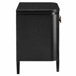 Caviar Black Antique Brass Briallen Accent Cabinet