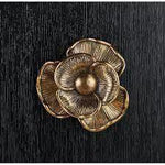 Caviar Black Antique Brass Briallen Accent Cabinet