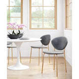 Chloe Dining Chair (Set of 2) Gray & Gold Dining Chairs LOOMLAN By Zuo Modern