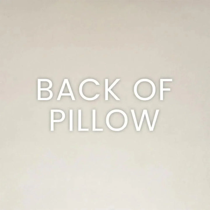 Chroma Multi Color Throw Pillow With Insert - LOOMLAN - D.V. Kap - Throw Pillows