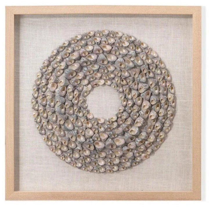 Coastal Screw Shells Pine Wood Bora Bora d Wall Art-Framed Wall Art-Jamie Young-LOOMLAN