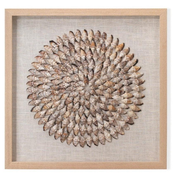 Coastal Style Beige Conch Shells Riviera Framed Wall Art Artwork LOOMLAN By Jamie Young