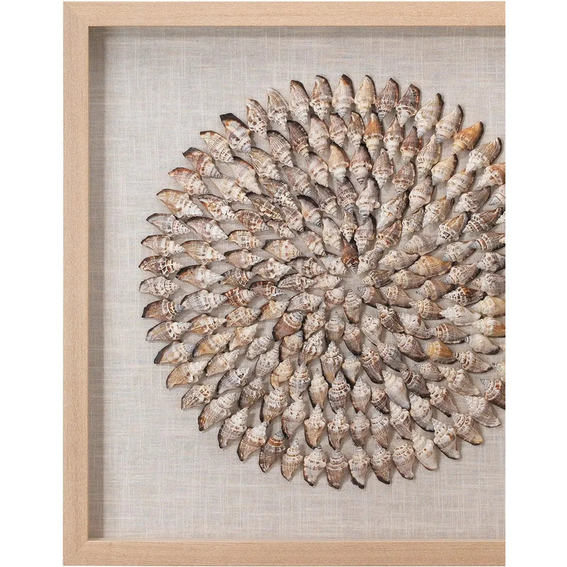 Coastal Style Beige Conch Shells Riviera d Wall Art