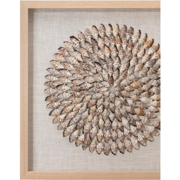 Coastal Style Beige Conch Shells Riviera d Wall Art-Framed Wall Art-Jamie Young-LOOMLAN
