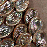 Coastal Style Taupe Abalone Shells Thailand Shell Wall Art Artwork LOOMLAN By Jamie Young