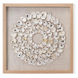 Coastal Style White Abalone Shells Maldives d Wall Art