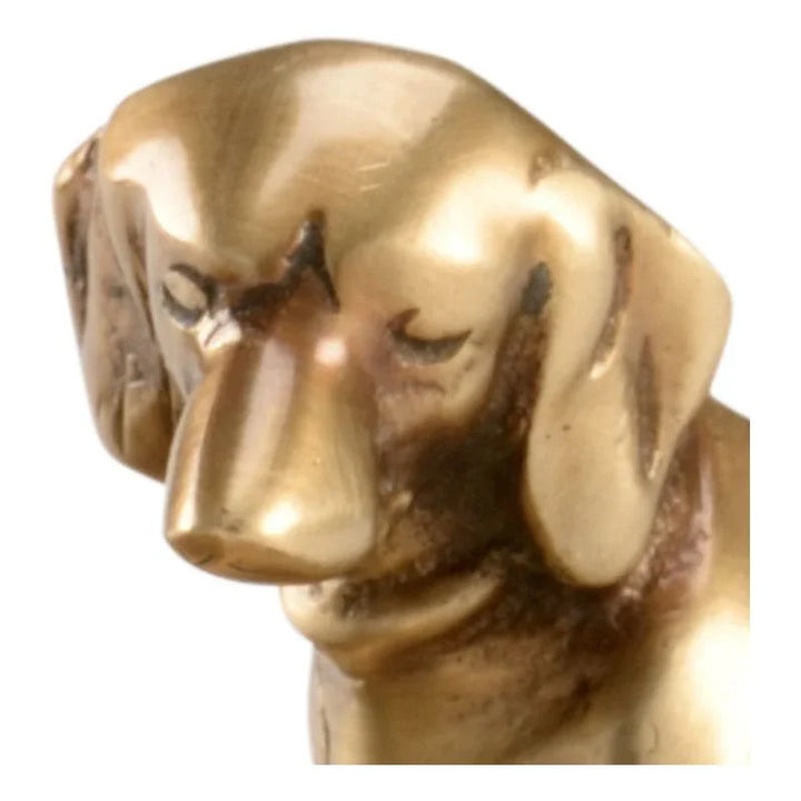 Colonel Coin Antique Brass Finish Tray - LOOMLAN - Wildwood - Trays