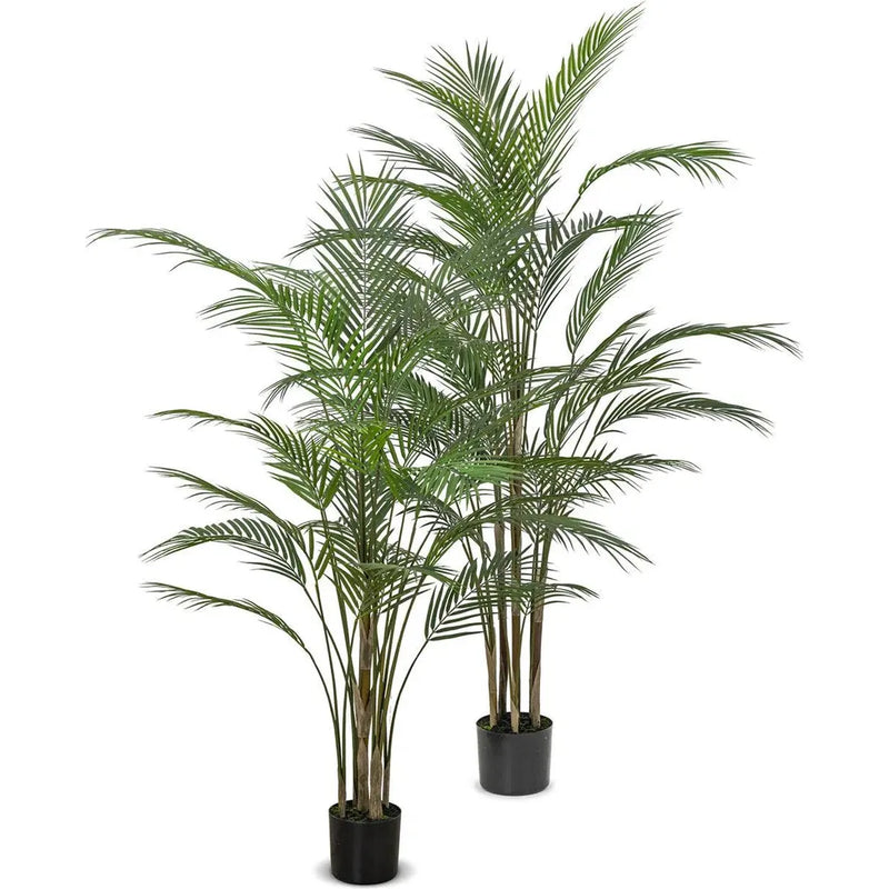 Le Present-Faux Botanical Green Indoor Madagascar-Potted Plants-50" H-LOOMLAN