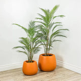 Le Present-Faux Botanical Green Indoor Madagascar-Potted Plants-50" H-LOOMLAN