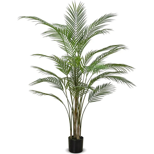 Le Present-Faux Botanical Green Indoor Madagascar-Potted Plants-50" H-LOOMLAN