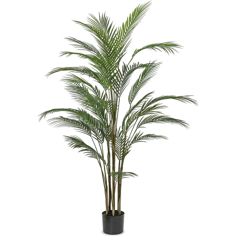 Le Present-Faux Botanical Green Indoor Madagascar-Potted Plants-58" H-LOOMLAN